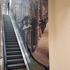 Wall Covering at Bed Bath and Beyond