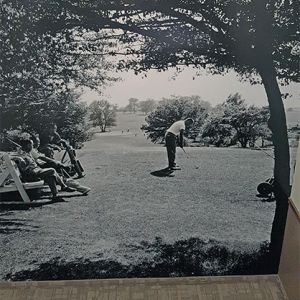 a wall covering of a park