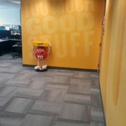 Indoor Wall Coverings in the BP Offices