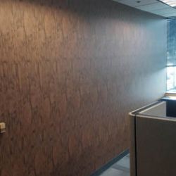 Indoor Wall Coverings in the BP Offices