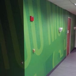 Indoor Wall Coverings in the BP Offices