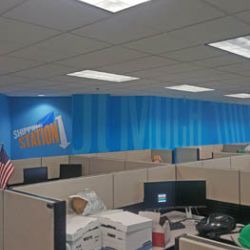 Indoor Wall Coverings in the BP Offices