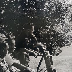 A wall covering of two men sitting under a tree