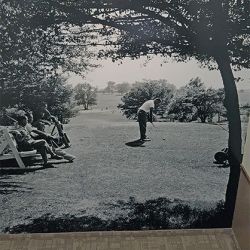 a wall covering of a park