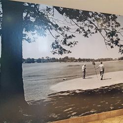 A wall covering of a park